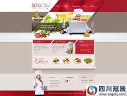 美食行业网站建设红色网站设计精品案例